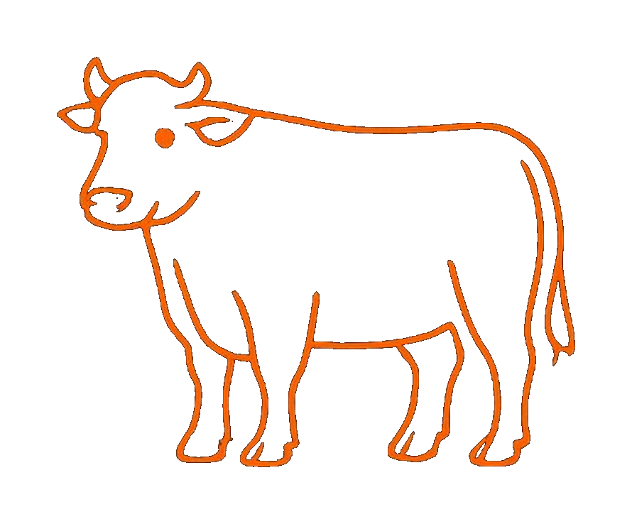 Beef cuts diagram