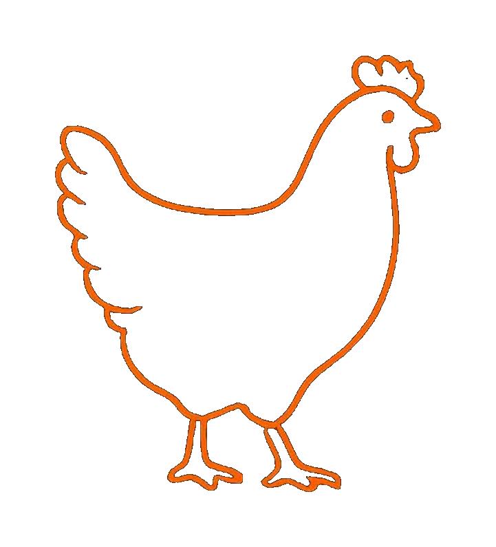 Chicken cuts diagram