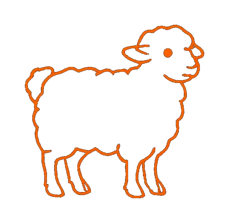 Lamb cuts diagram